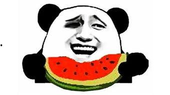 吃瓜搞笑大联盟视频,笑出腹肌的欢乐时光