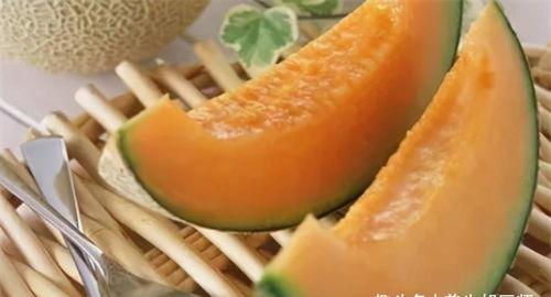 爱豆吃哈密瓜视频大全下载,哈密瓜视频大全下载回顾
