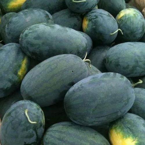 邱奇迹吃瓜视频哪里看,独家观看指南，揭秘热门内容