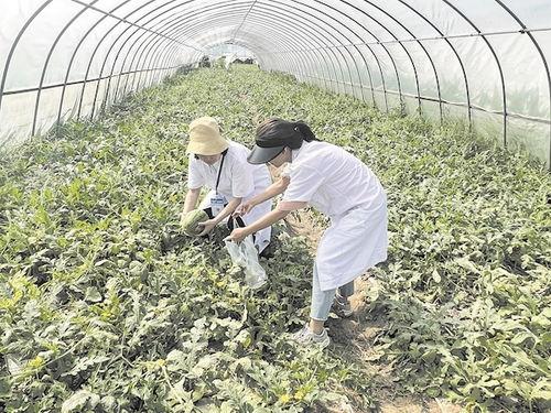 武汉群众吃瓜视频曝光,街头奇闻轶事引热议