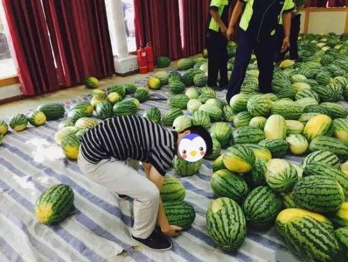 光山网红邱县长吃瓜视频