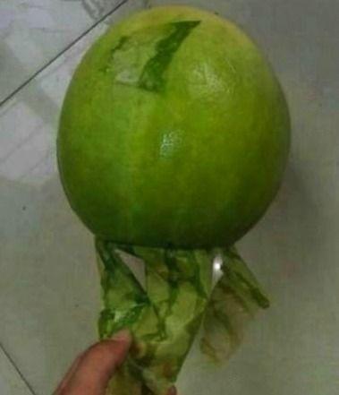 每日一笑吃瓜视频,吃瓜视频，笑料连连，欢乐无限