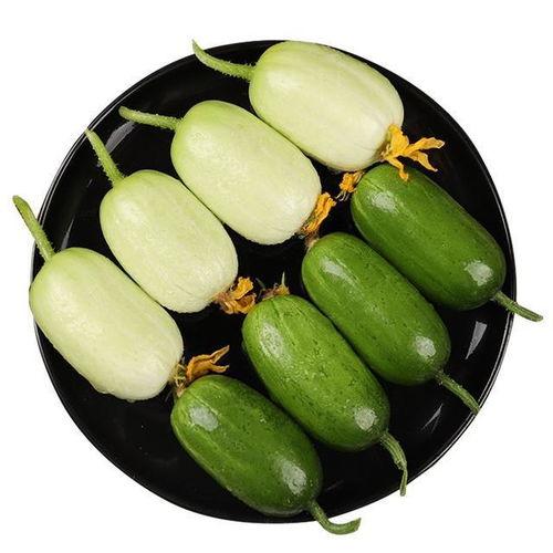 圆头瓜怎么吃最好呢视频,视频教你轻松享美食