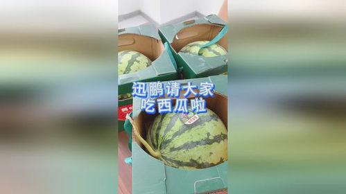 请大家吃瓜的视频,一起围观这场吃瓜视频狂欢