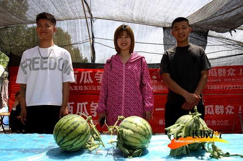 河北美院 吃瓜视频,揭秘校园生活幕后趣闻