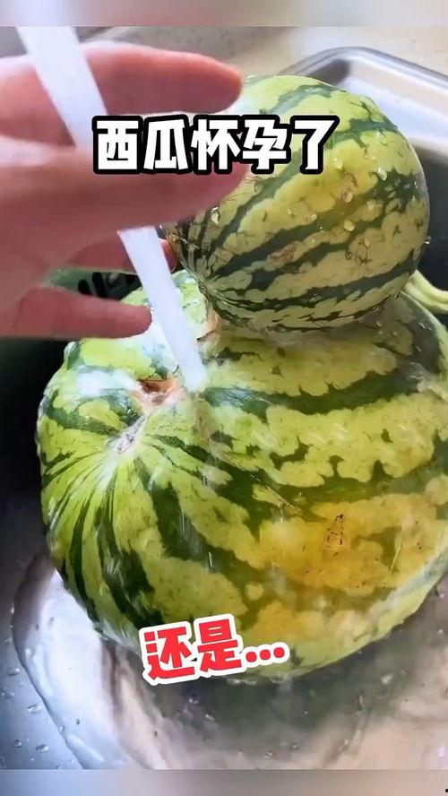 带你吃瓜的搞笑视频多发,搞笑视频中的“吃瓜”盛宴