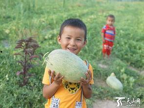 小孩吃瓜群众视频,小孩吃瓜群众趣味视频集锦