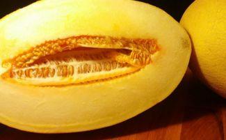 哈密瓜怎么吃更爽呢视频,视频揭秘爽口吃法