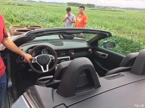 关于帝豪集团的吃瓜视频,揭秘企业内部风云