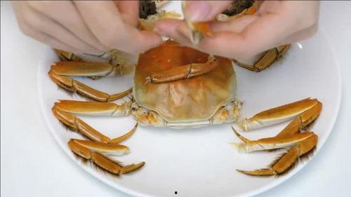 螃蟹吃哈密瓜视频,一场跨界的味蕾盛宴