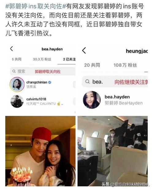 但你吃大瓜视频,揭秘“吃大瓜”视频背后的娱乐狂欢