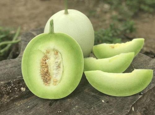 香瓜吃瓜视频网站入口,揭秘香瓜吃瓜视频网站入口