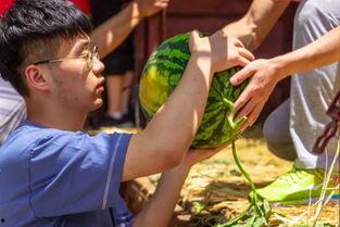 大学的吃瓜视频,揭秘大学吃瓜视频背后的故事