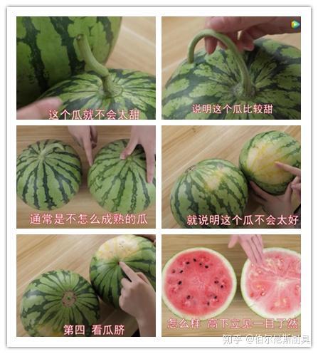 吃瓜好看的视频,跟随视频一探究竟