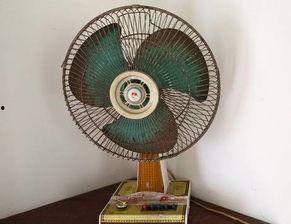 电风扇吃瓜视频,揭秘夏日清凉神器背后的趣味故事