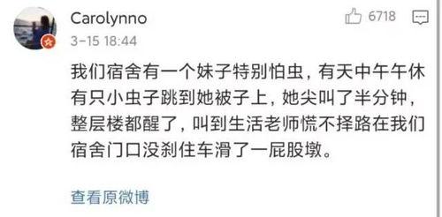 宿舍女生看吃瓜视频,吃瓜视频背后的娱乐现象解析