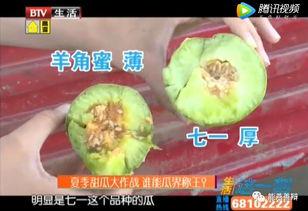黑籽的水果瓜可以吃吗视频,可食用之谜