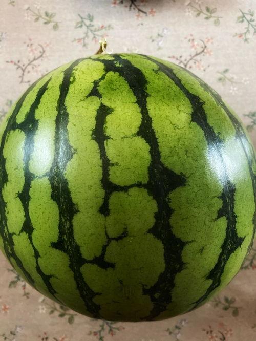 吃瓜表演视频完整,一场视觉与味蕾的双重盛宴