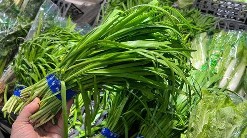 今日立春吃瓜视频,一起品味传统美食的魅力