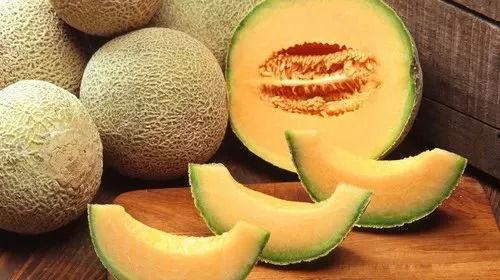 原神小猫仔吃哈密瓜视频,哈密瓜盛宴萌态十足