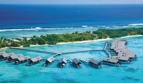 马尔代夫吃瓜视频,一场别开生面的吃瓜盛宴