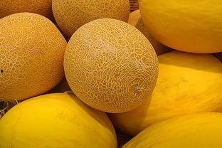 做梦梦到吃瓜视频什么意思,吃瓜视频背后的心理寓意