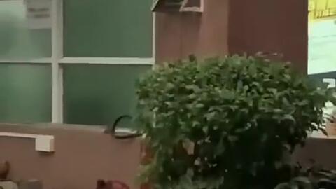 亳州最新吃瓜新闻事件视频,视频揭秘惊人真相