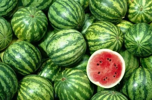 全球热门吃瓜视频下载,一网打尽年度爆笑瞬间