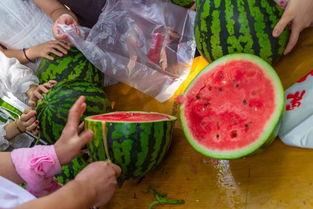 西安最新吃瓜视频,街头奇闻轶事大揭秘